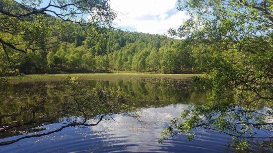 Réserve naturelle nationale Craigellachie